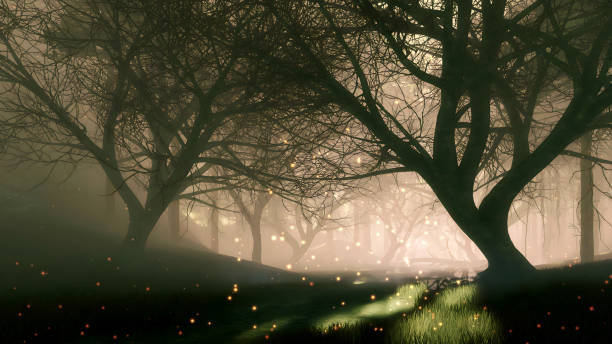 istock Dark magical foggy forest with mysterious lights 2172604327