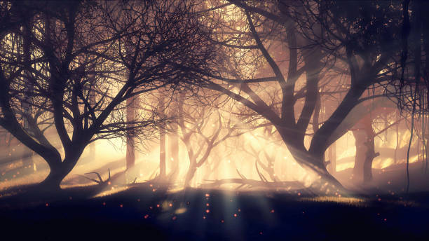 istock Dark mysterious forest with supernatural lights 2172604342