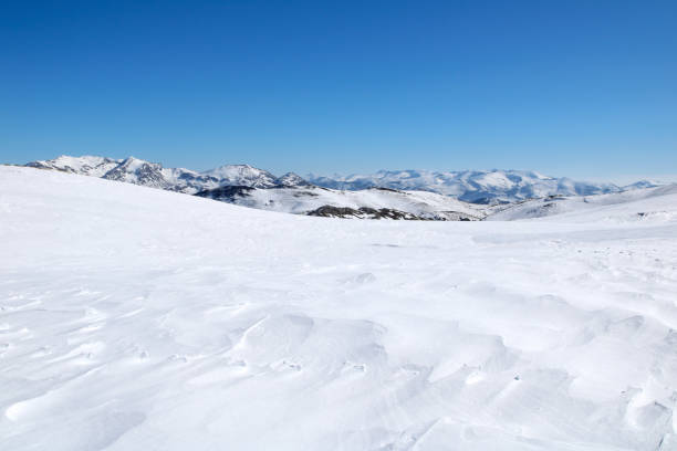 Wide panoramic view of distant snow-covered mountain ridges with forested hills in the foreground under a clear blue sky. The minimal and expansive composition provides ample copy space and conveys calm, openness, and connection to nature, suitable for travel, environment, and outdoor concepts.