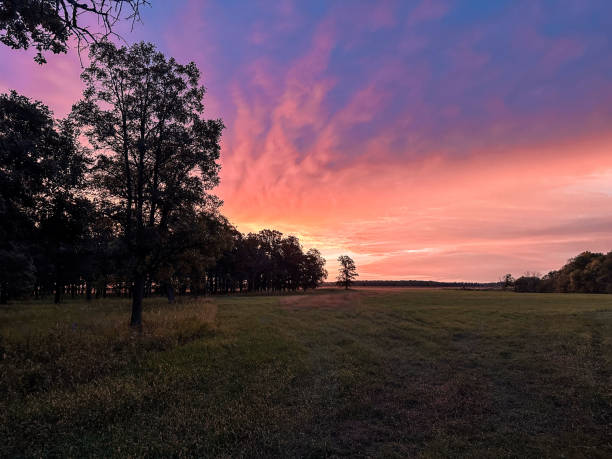 istock Fiery Cotton Candy Pastel Sunrise Manitoba Canada September 2172610739