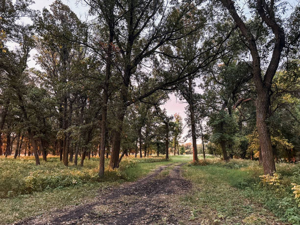 Fiery Cotton Candy Pastel Sunrise Manitoba Canada September stock photo