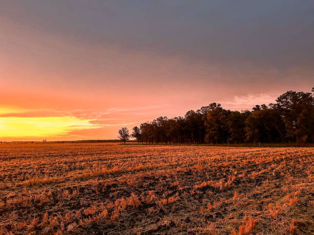 istock Fiery Cotton Candy Pastel Sunrise Manitoba Canada September 2172610766