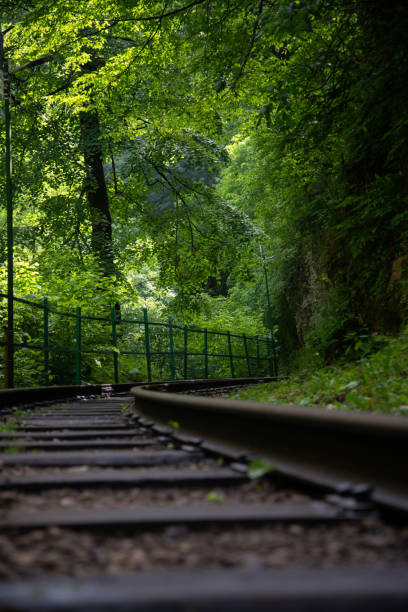 Beautiful nature.