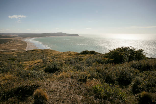 istock View of the virgin beach seen from the cliffs, at sunset 2172614821
