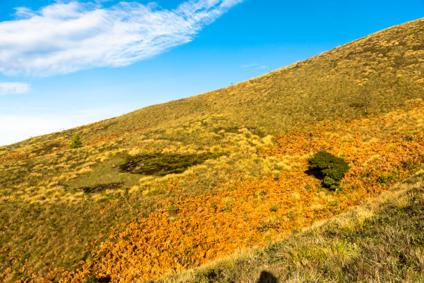 Dramatic natural scene of Meesapuli mala, one of the highest peak in munnar