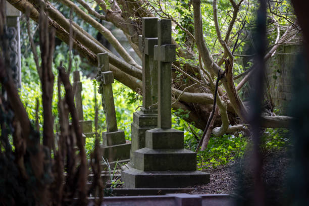 istock Ascension Parish Burial Ground 2172628731