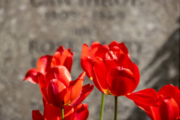 Ascension Parish Burial Ground