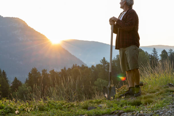 istock Mature man plants tree at sunrise 2172636665
