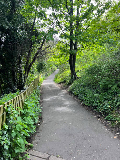 istock Park in Edinburgh, Scotland 2172639240