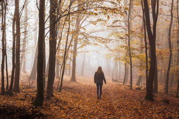 istock Woman walking in autumn misty forest 2172640645