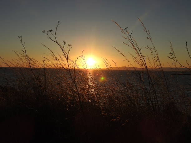 istock Sunset over the Galician Atlantic Ocean 2172640935