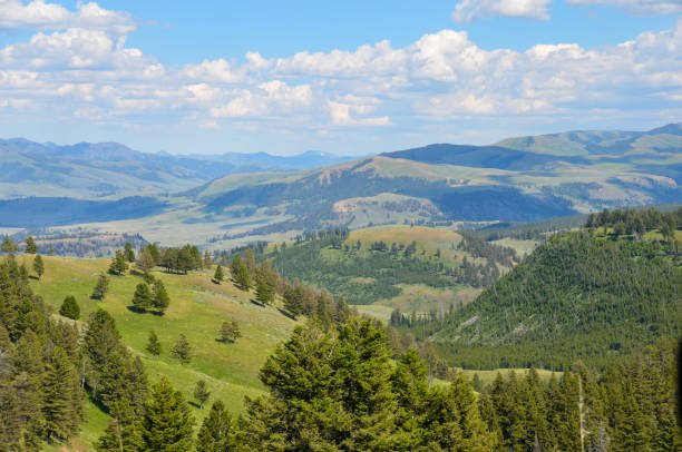 istock Serene Mountain Range View with Trees in Yellowstone National Park Background Landscape Nature Valley Blue Green 2172642169