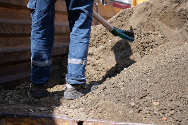 A person is using a shovel to dig soil from the ground.