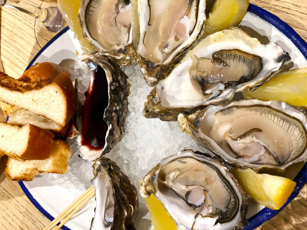 istock plate of oysters on ice 2172642485