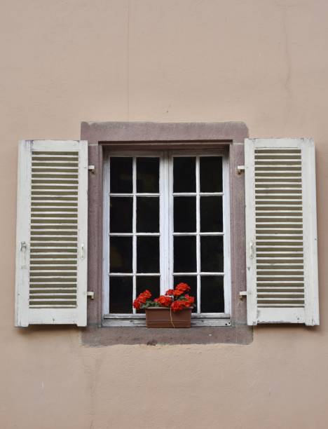 beautiful window front view with red flowers