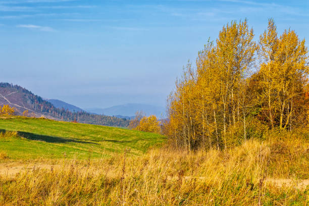 istock calm autumn day in carpathian mountains 2172658276