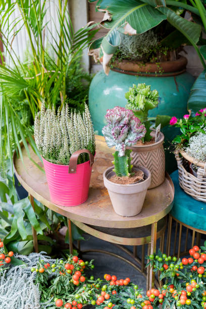 istock Flower shop with various multicolored fresh flowers 2172664139