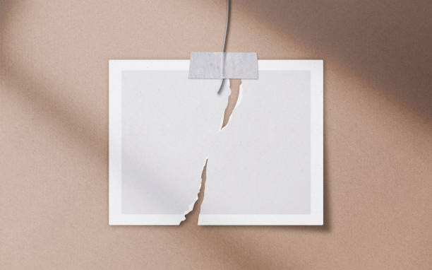 istock Realistic 3D blank photo frames, film, texture, ornament, torn paper glued textures and tape moodboard mockup. Grunge texture background with leaves and windows shadow overlay vector illustration 2172672080
