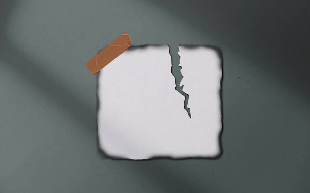 istock Realistic 3D blank photo frames, film, texture, ornament, torn paper glued textures and tape moodboard mockup. Grunge texture background with leaves and windows shadow overlay vector illustration 2172672481