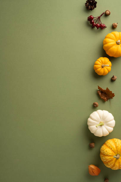 Assorted vertical pumpkins and autumn leaves arranged on a green background. Perfect for fall, harvest, and Thanksgiving themes, showcasing the colors and textures of the season