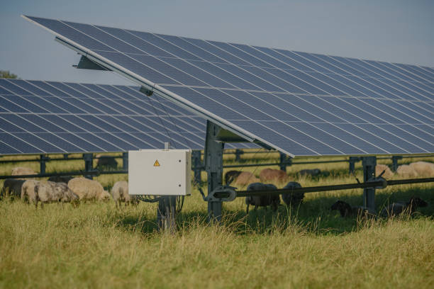 istock String combiner box for photovoltaic systems labeled 