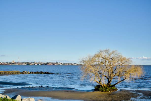 Rocks coming through on a low tide in the delaware river on a sunny day in spring