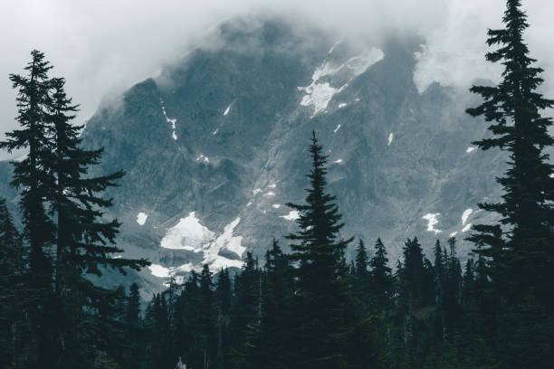 Atmospheric view of west face of Mount Shuksan, appearing through low cloud and forest.