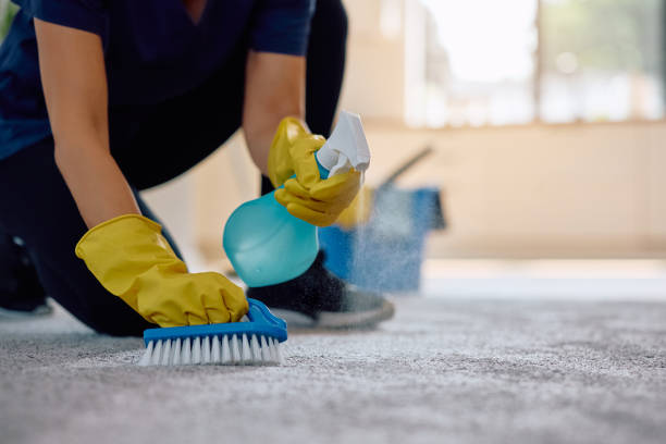 istock Close up of professional cleaner using brush while cleaning stains on the carpet. 2172691159