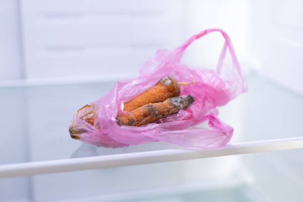 mold on carrots in a ball on the refrigerator shelf