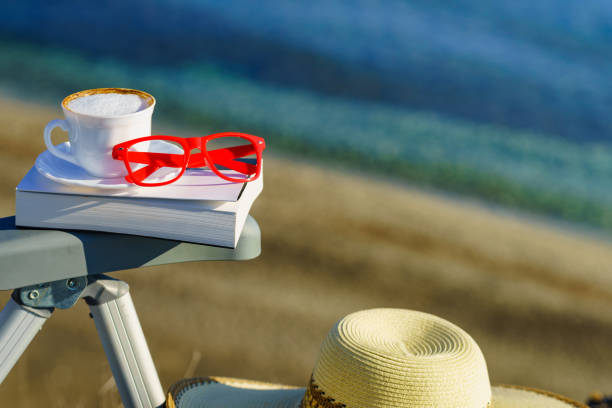 Young woman in a blue bikini, relaxing on a beach towel spread on a reclining seat while reading a book. Enjoying a peaceful day at a tropical beach with a scenic ocean view, capturing a moment of leisure and relaxation.
