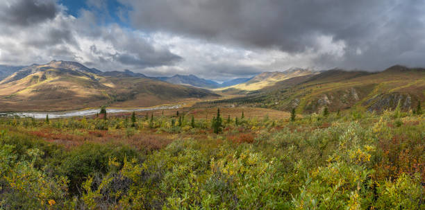 istock North Fork Pass in Tombstone Territorial Park 2172701181