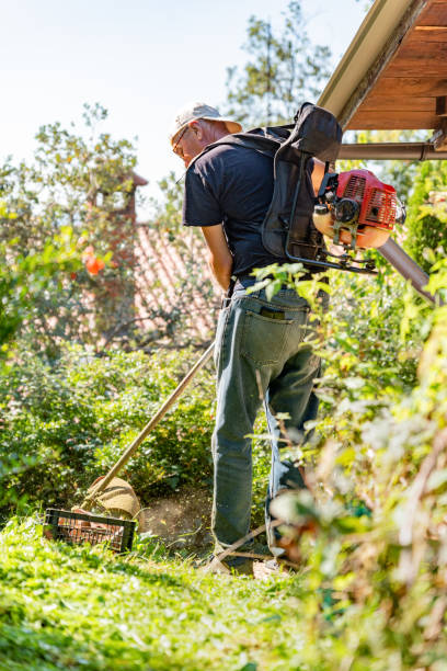 istock Senior Man on Sunny Autumn Day Cutting the Grass with String Trimmer 2172719969