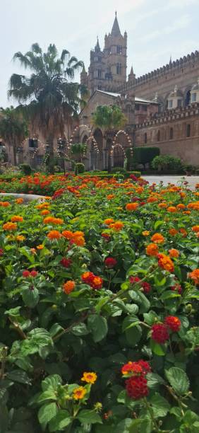 istock Palermo cathedral with flowers 2172729616