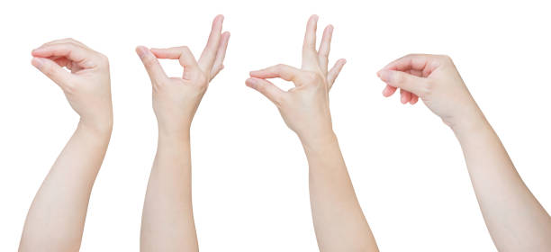 istock Woman hand gesture holding something set isolated on white background 2172739724