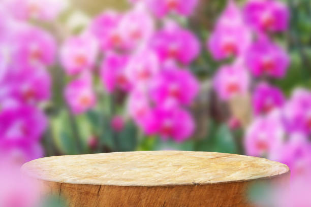 istock Empty old tree stump table top with blur orchid garden background for product display 2172739810