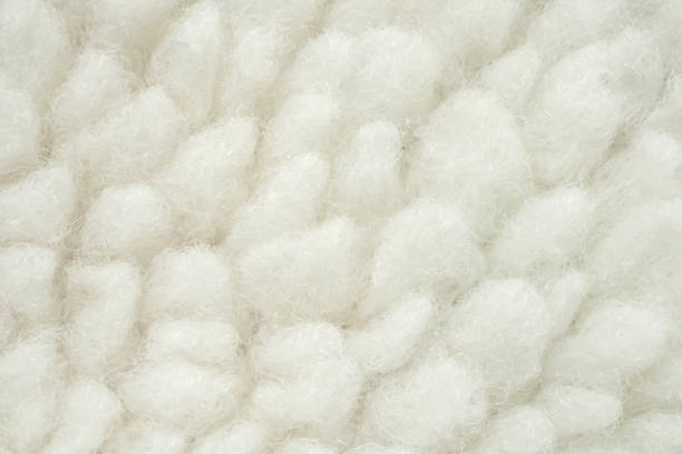 istock Wool plush fleece fur fabric texture background 2172740814