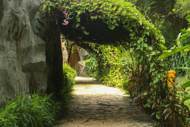 istock Stone pathway leading through lush greenery in a tropical garden. 2172740924