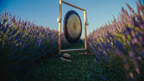 istock Sunset Serenade with Lavender Field Gong 2172741451