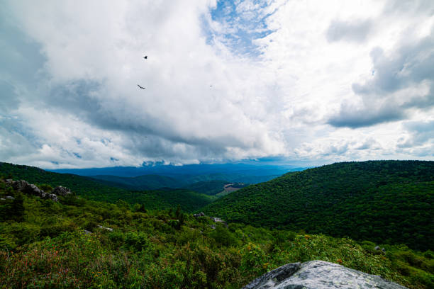 Grayson Highlands State Park Highland Ponies and Landscape