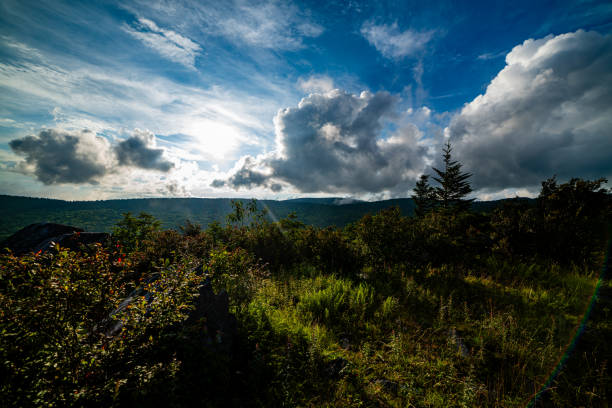 Grayson Highlands State Park Highland Ponies and Landscape