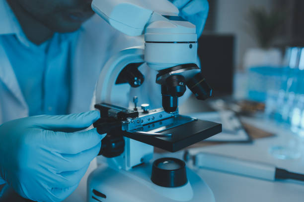 istock a scientist uses a microscope to look for contaminants in a test sample, a researcher uses a microscope to look closely at foreign objects, microscopes are being used in the laboratory 2172744866