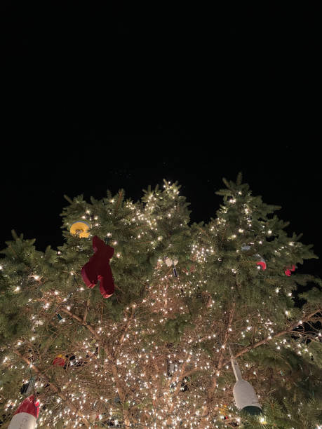 istock View looking upward at christmas tree with white lights 2172747717