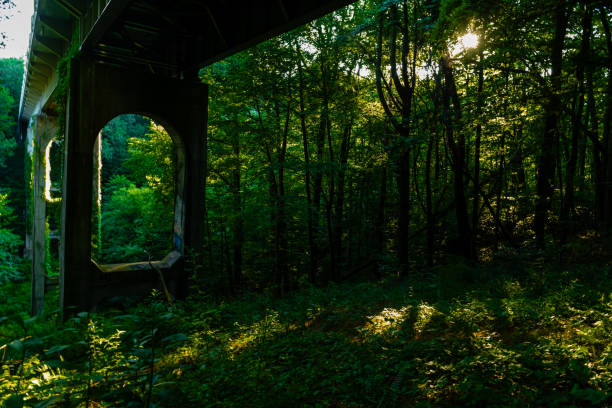 Hiking and Driving the beautiful Blue Ridge Parkway in Virginia