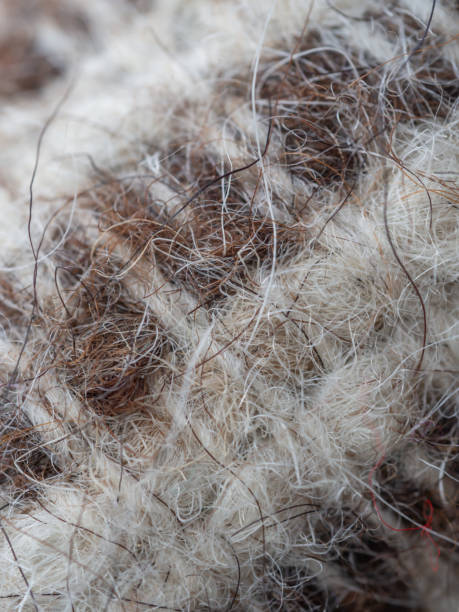 istock Close up on fiber texture 2172752807
