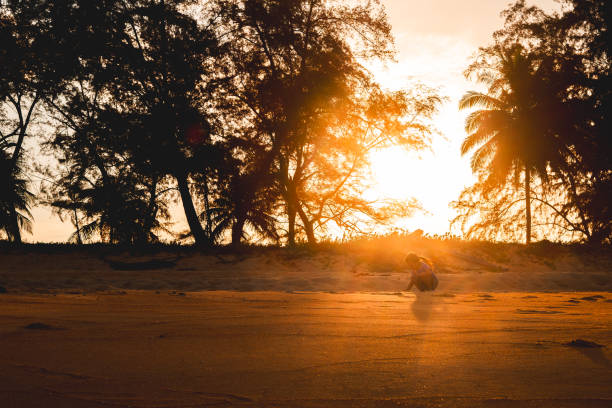 A young child walks alone along a sandy beach at sunset, silhouetted against the golden glow of the setting sun. The warm light creates long shadows and highlights the texture of the sand, while tall trees and palm silhouettes frame the background. The image captures a serene and contemplative moment, evoking feelings of solitude, wonder, and the beauty of nature. This powerful composition conveys themes of exploration, freedom, and reflection in a tranquil, natural setting.
