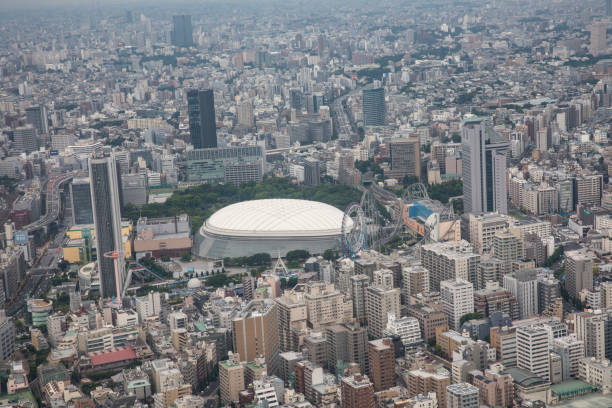 istock AERIAL VIEW: population density in Tokyo 2172756250