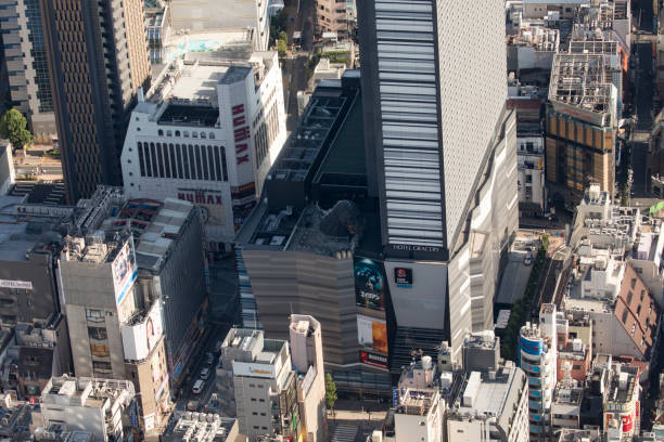 istock AERIAL VIEW: population density in Tokyo 2172756323