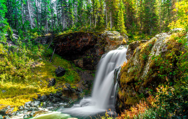 A serene waterfall cascades over moss-covered rocks, surrounded by lush greenery and dense forest. Sunlight filters through the trees, casting a warm glow on the vibrant foliage.