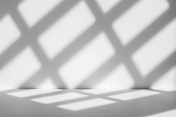 istock Studio style background wall decoration presentation uses white tones. with shadows cast from a nearby window, concept creating a decorative backdrop. 2172760369
