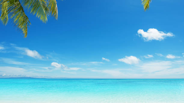 istock Tropical turquoise sea scenery for background or wallpaper 2172764042